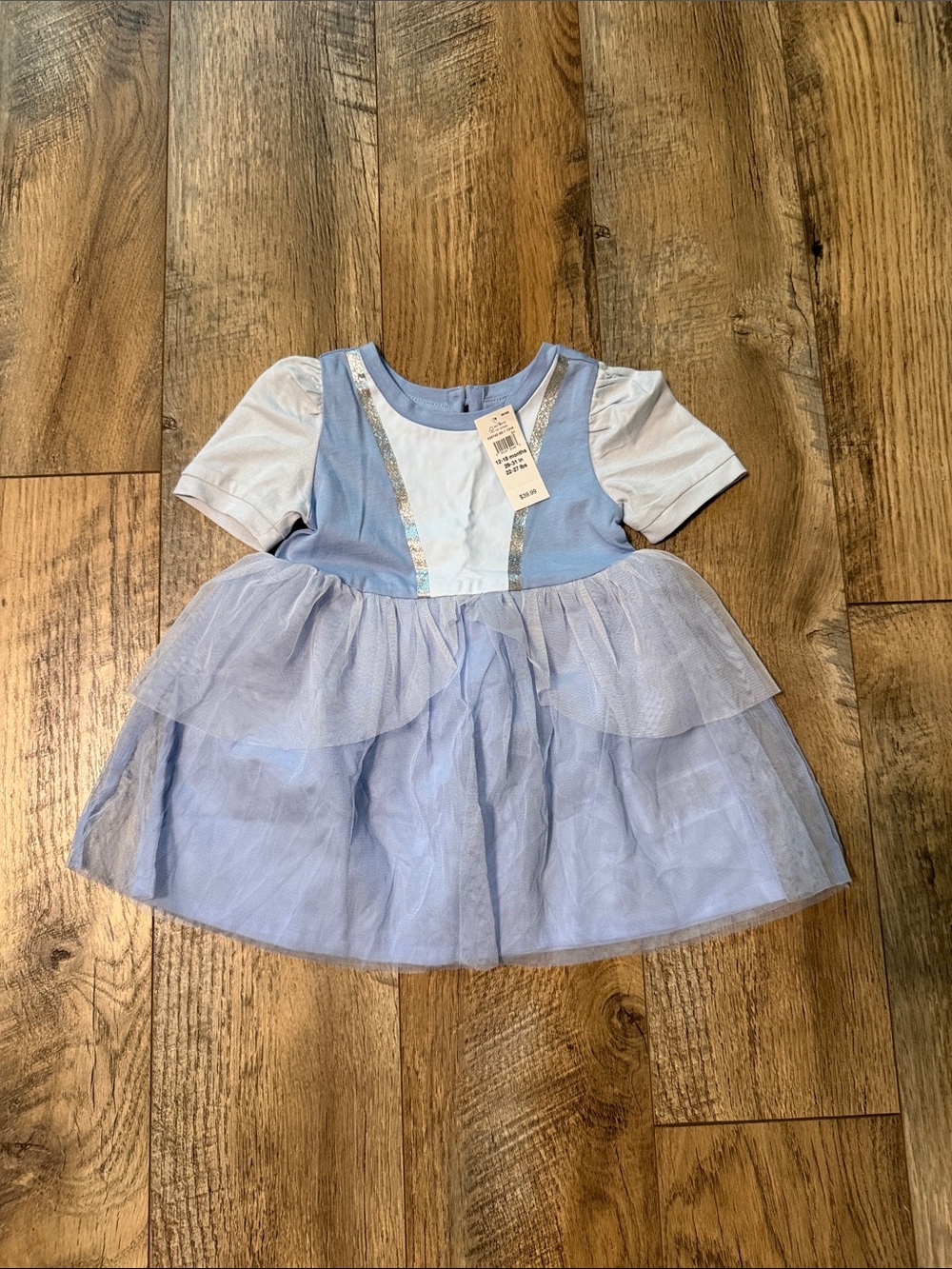 Gap baby Disney Cinderella dress
